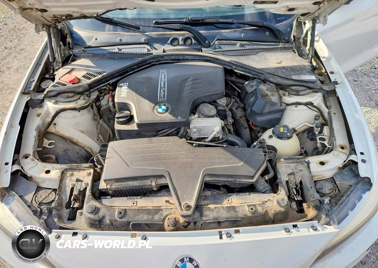 2014 BMW 228 I VIN:WBA1F5C59EV256068 - 11