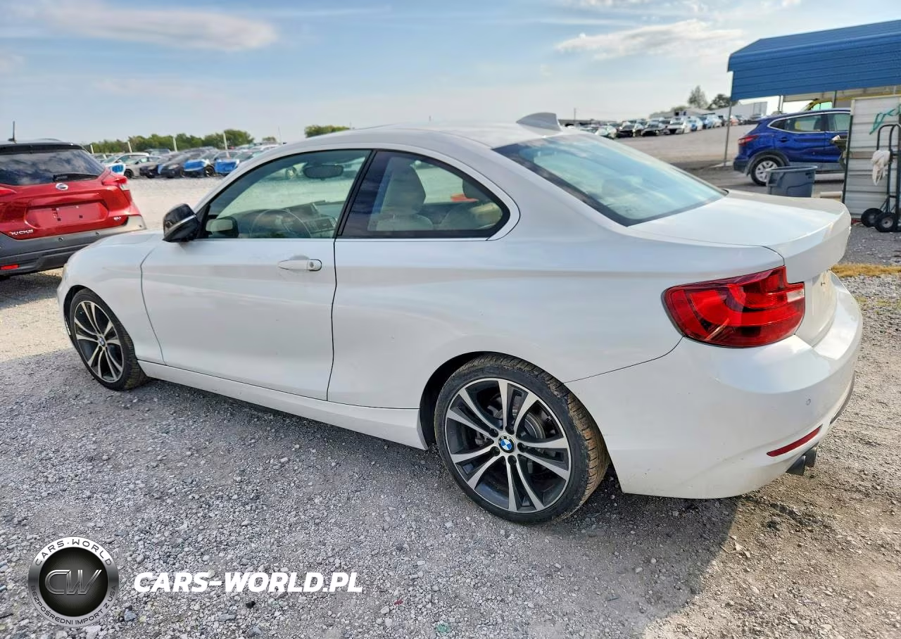 2014 BMW 228 I VIN:WBA1F5C59EV256068 - 2