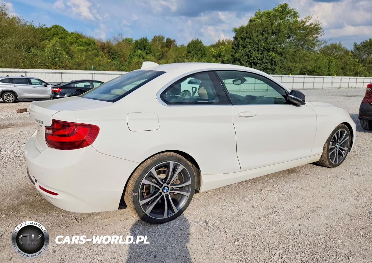 2014 BMW 228 I VIN:WBA1F5C59EV256068 - 3