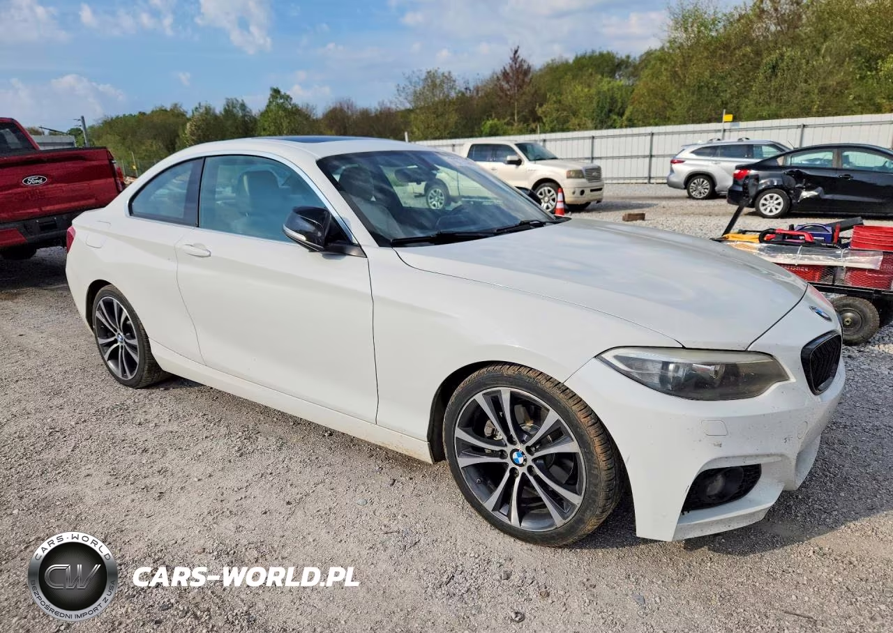 2014 BMW 228 I VIN:WBA1F5C59EV256068 - 4