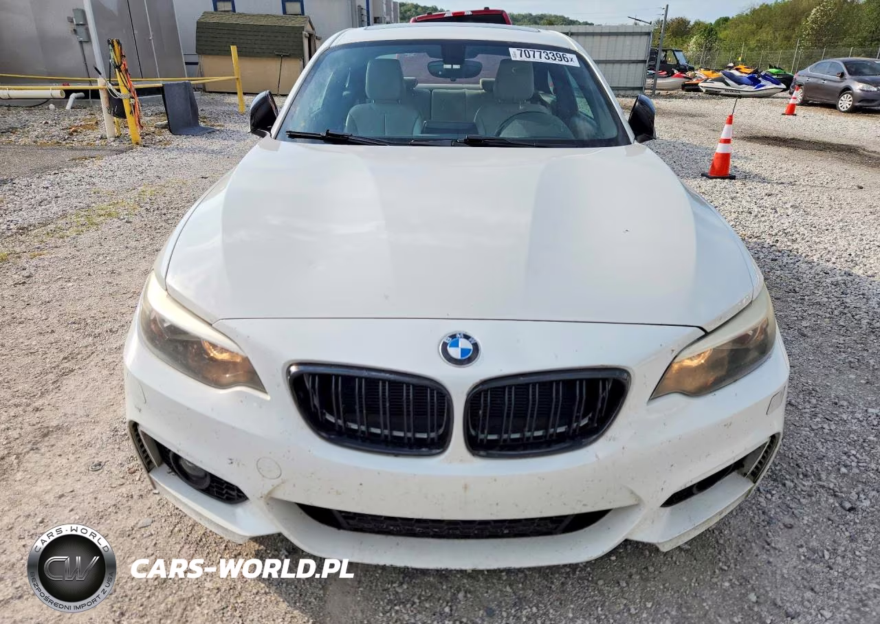2014 BMW 228 I VIN:WBA1F5C59EV256068 - 5