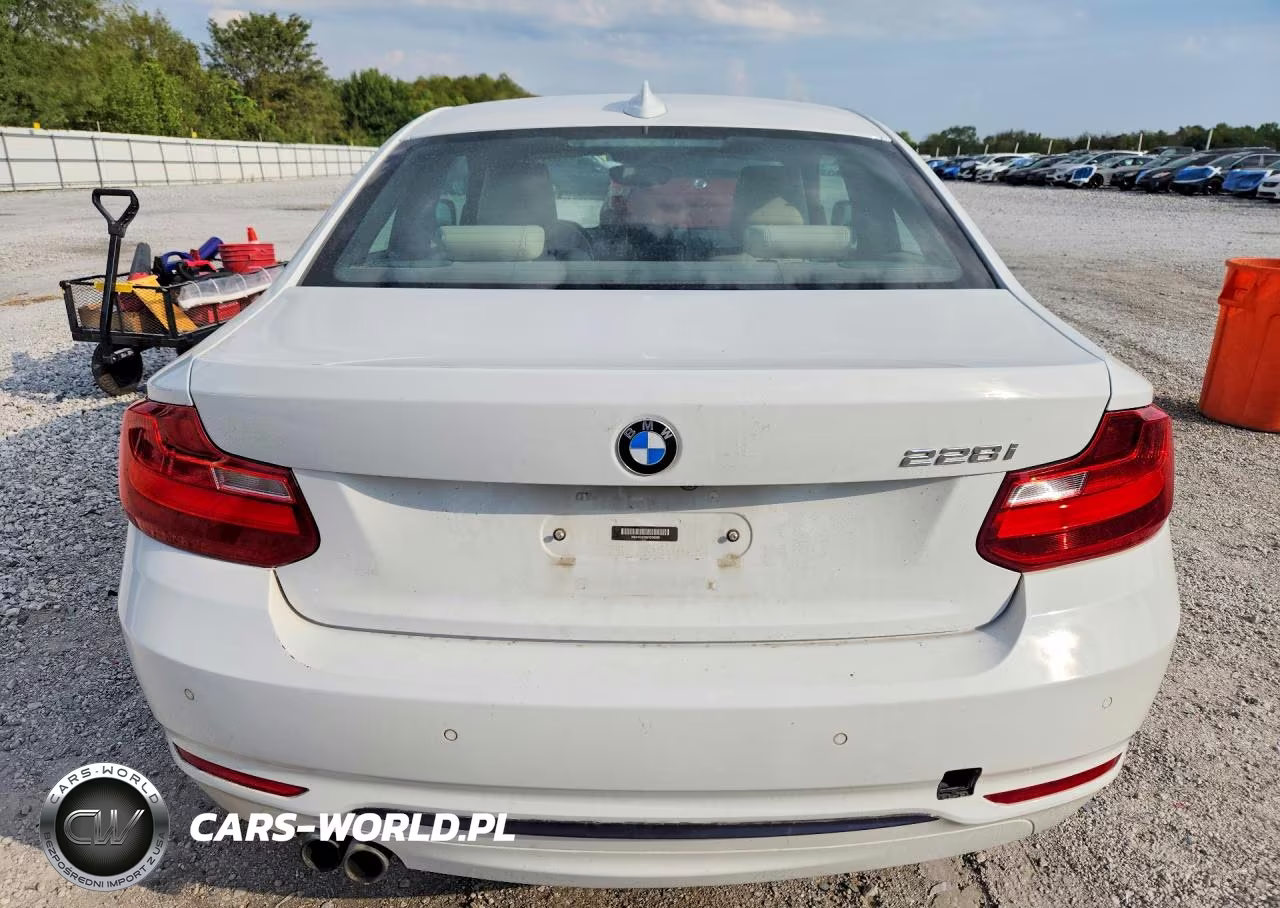2014 BMW 228 I VIN:WBA1F5C59EV256068 - 6