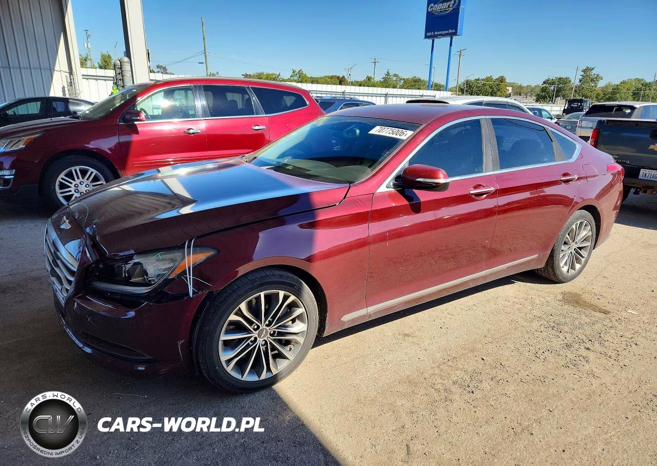 2015 Hyundai Genesis 3.8L VIN:KMHGN4JE0FU014902 - 1