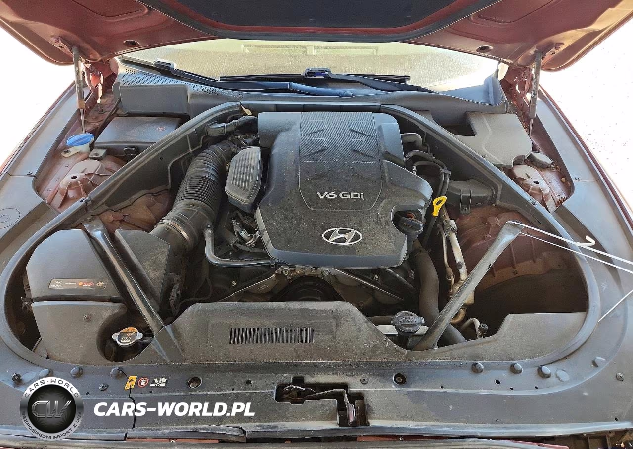 2015 Hyundai Genesis 3.8L VIN:KMHGN4JE0FU014902 - 11