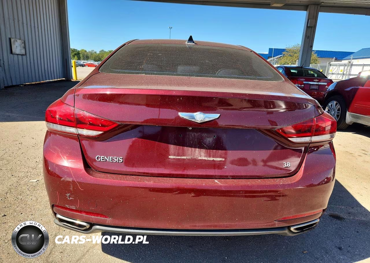 2015 Hyundai Genesis 3.8L VIN:KMHGN4JE0FU014902 - 6