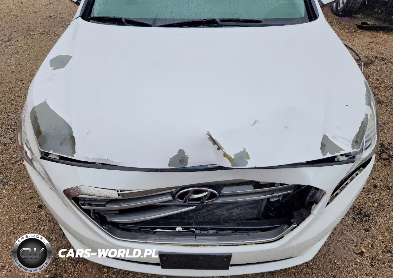 2015 Hyundai Sonata Se VIN:5NPE24AF5FH030312 - 11
