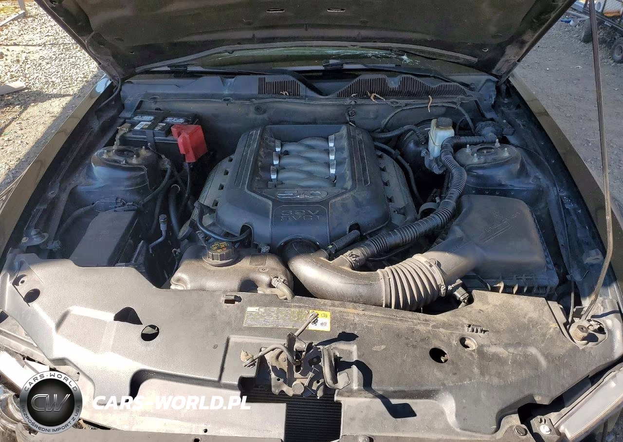 2011 Ford Mustang Gt VIN:1ZVBP8CF9B5110096 - 11