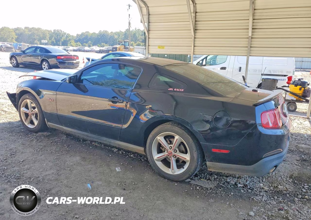 2011 Ford Mustang Gt VIN:1ZVBP8CF9B5110096 - 2