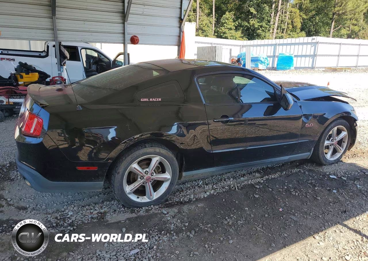 2011 Ford Mustang Gt VIN:1ZVBP8CF9B5110096 - 3