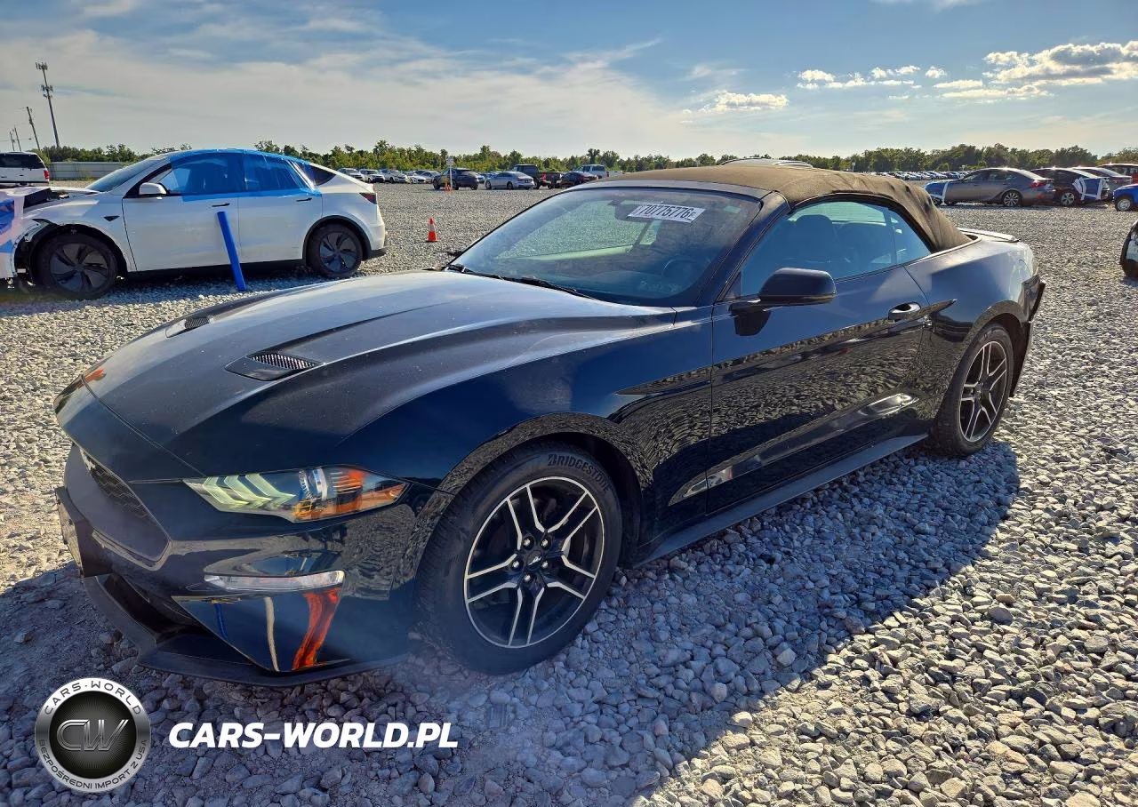 2019 Ford Mustang