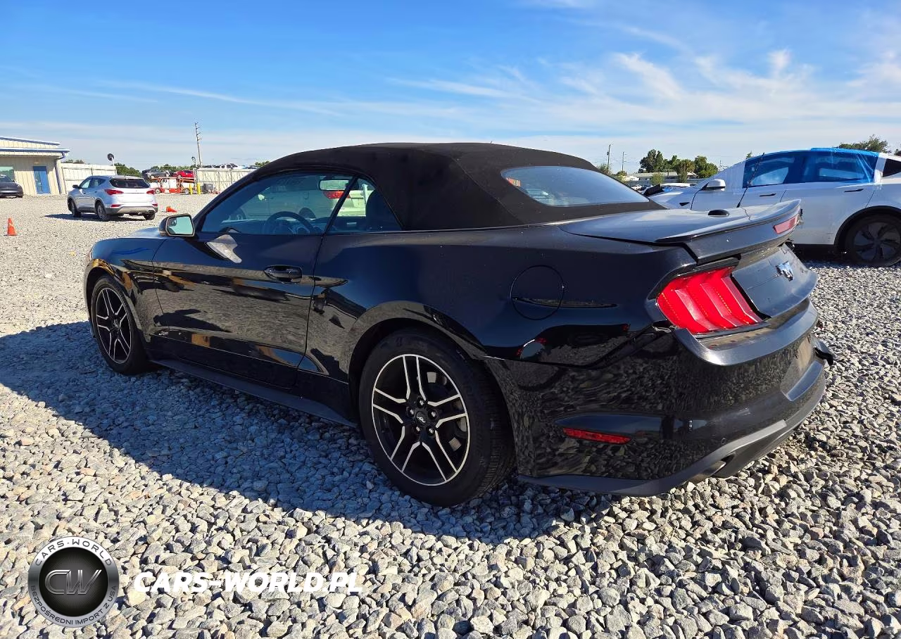 2019 Ford Mustang VIN:1FATP8UH0K5181734 - 2