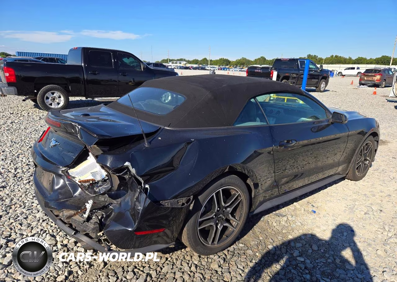 2019 Ford Mustang VIN:1FATP8UH0K5181734 - 3