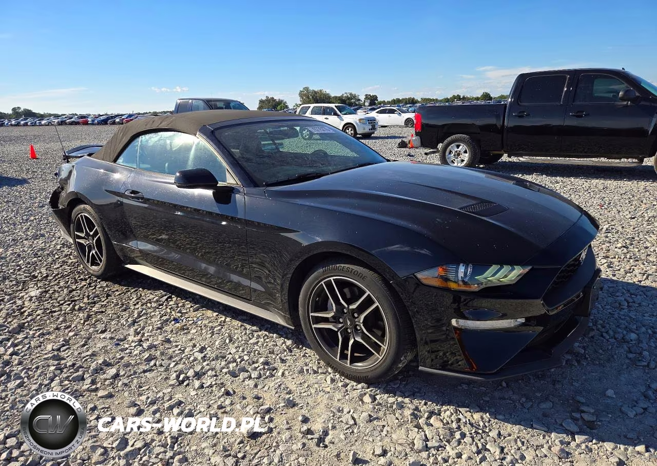 2019 Ford Mustang VIN:1FATP8UH0K5181734 - 4