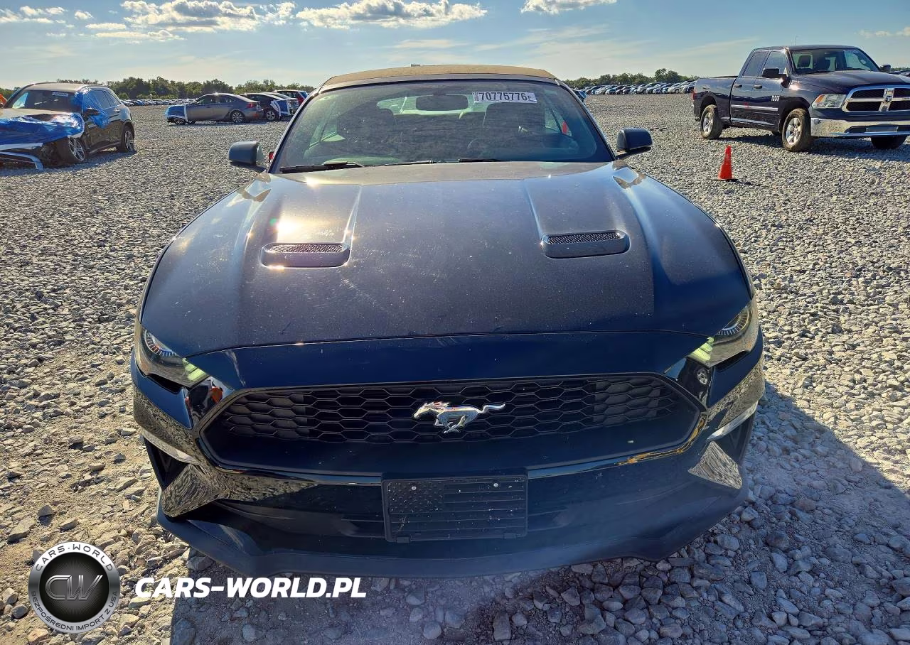 2019 Ford Mustang VIN:1FATP8UH0K5181734 - 5