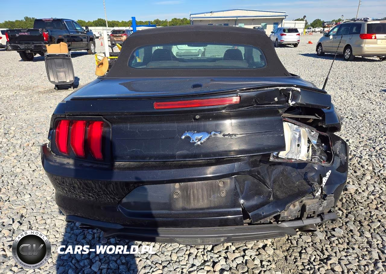 2019 Ford Mustang VIN:1FATP8UH0K5181734 - 6