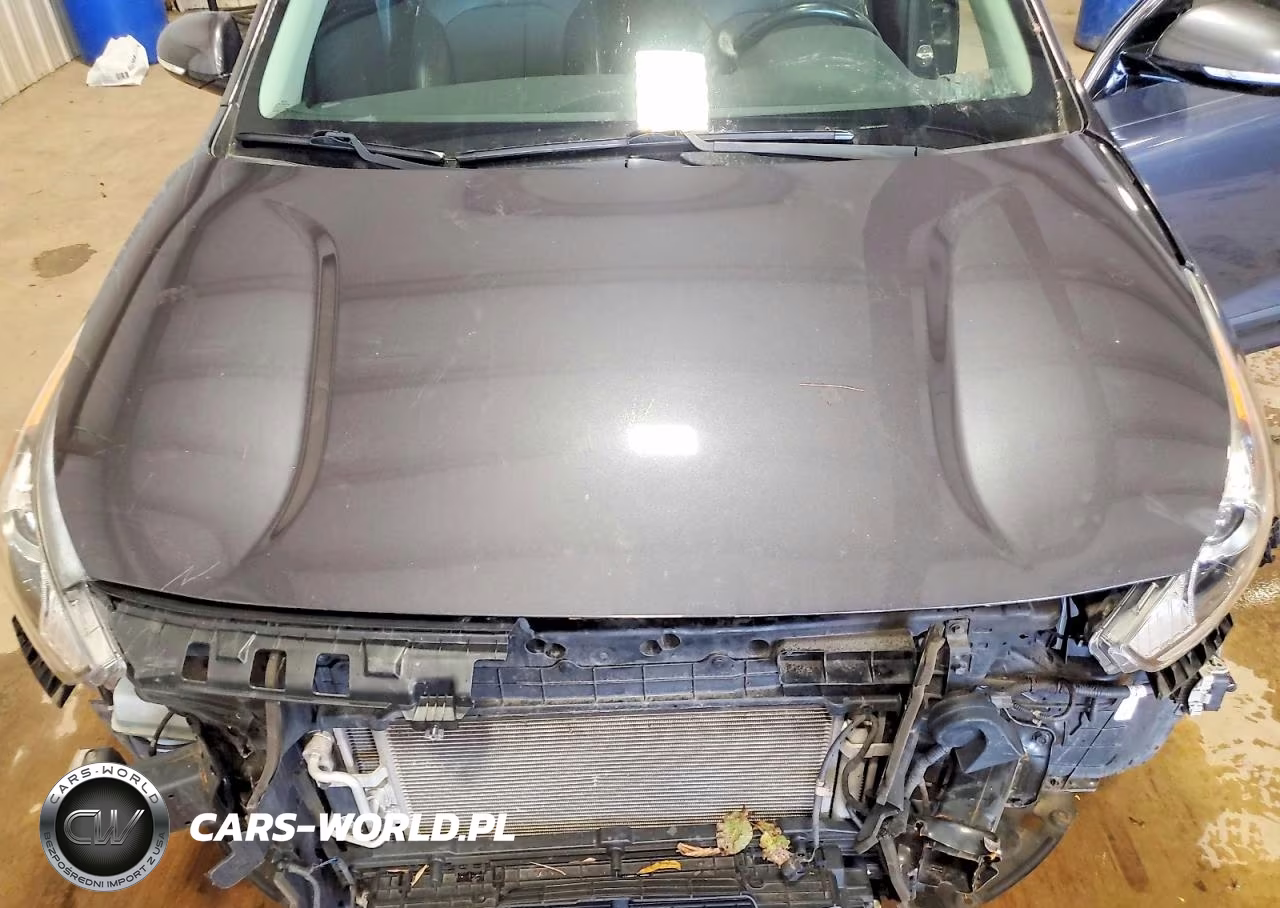 2018 Kia Niro Ex VIN:KNDCC3LCXJ5135485 - 12
