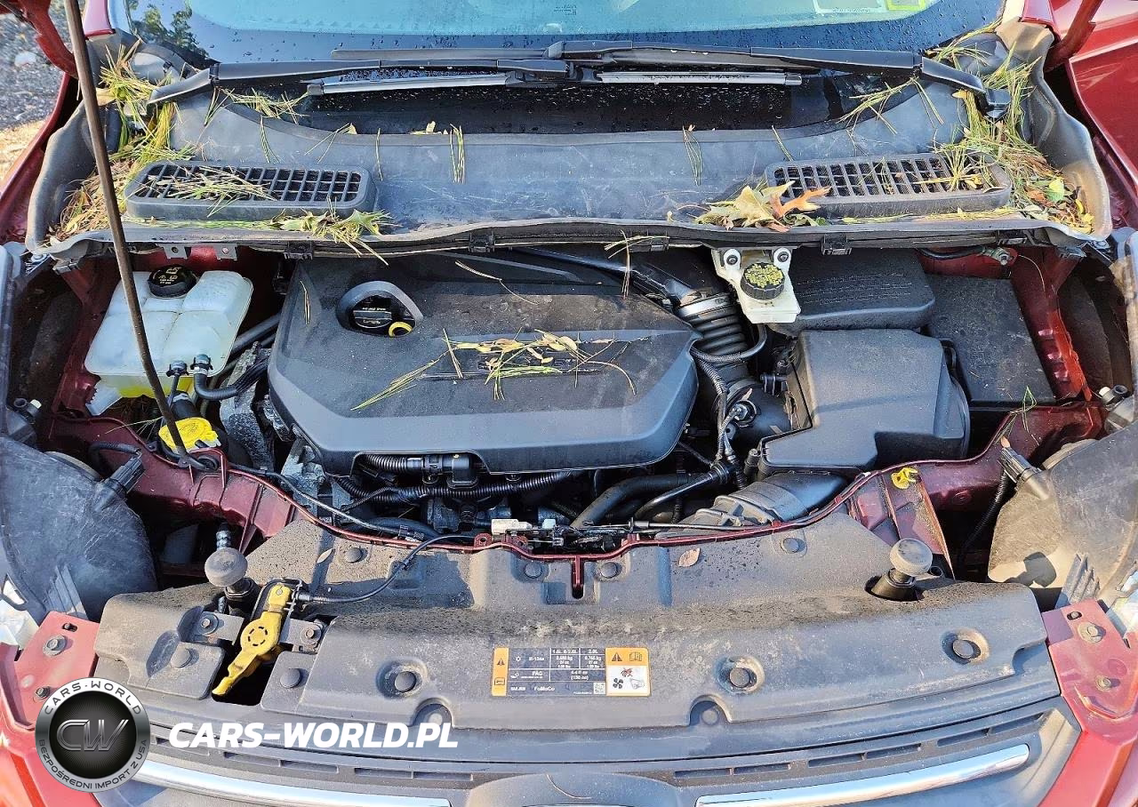 2014 Ford Escape Se VIN:1FMCU9GX3EUE05810 - 12