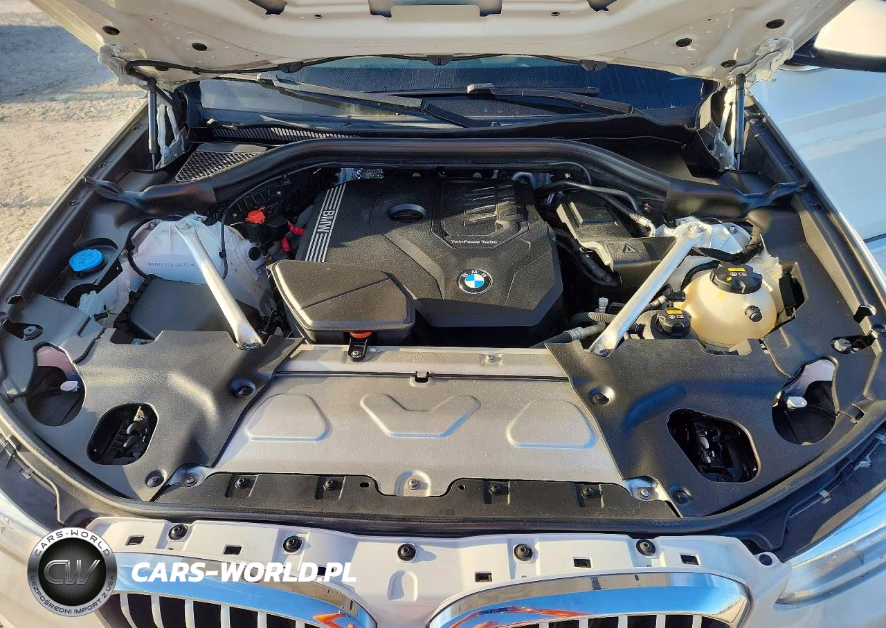2020 BMW X3 Sdrive30I VIN:5UXTY3C07L9B83739 - 12