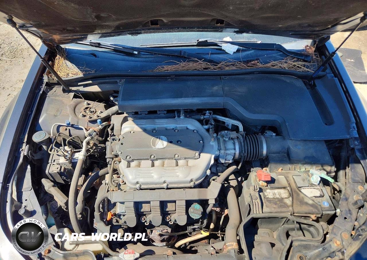2012 Acura Tl VIN:19UUA9F50CA005642 - 11