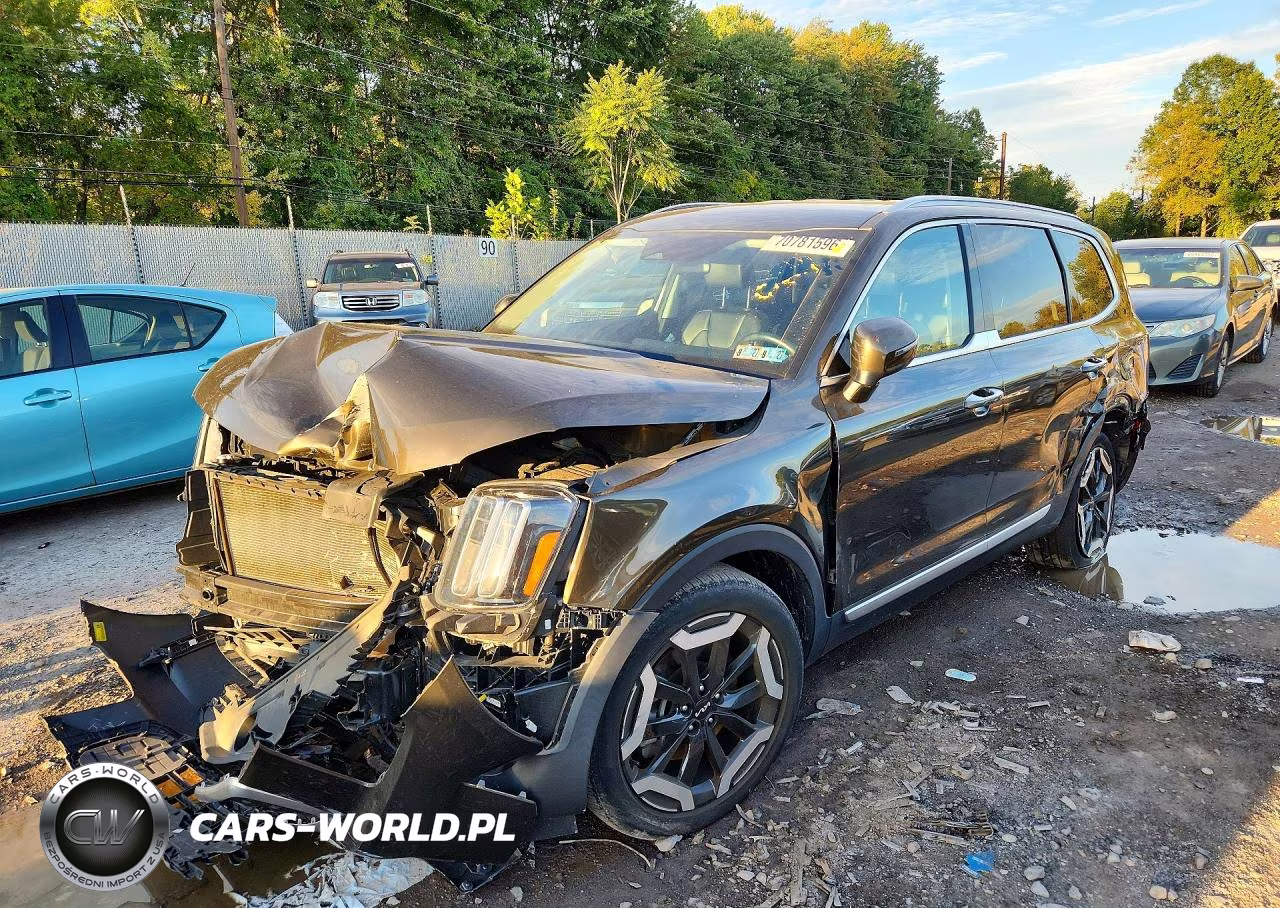 2023 Kia Telluride S VIN:5XYP6DGC1PG401971 - 1