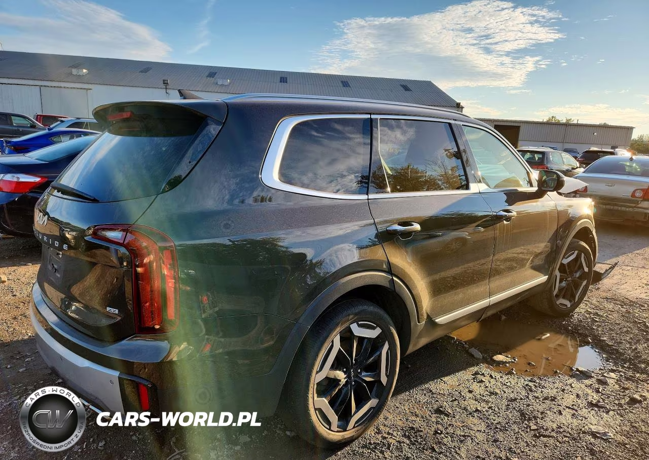 2023 Kia Telluride S VIN:5XYP6DGC1PG401971 - 3