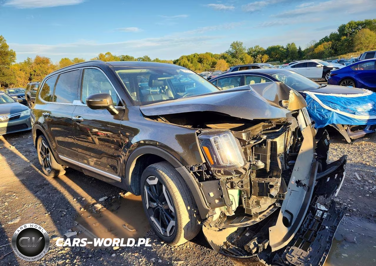 2023 Kia Telluride S VIN:5XYP6DGC1PG401971 - 4