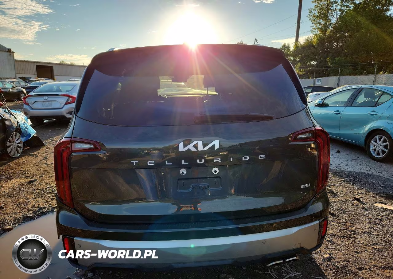 2023 Kia Telluride S VIN:5XYP6DGC1PG401971 - 6