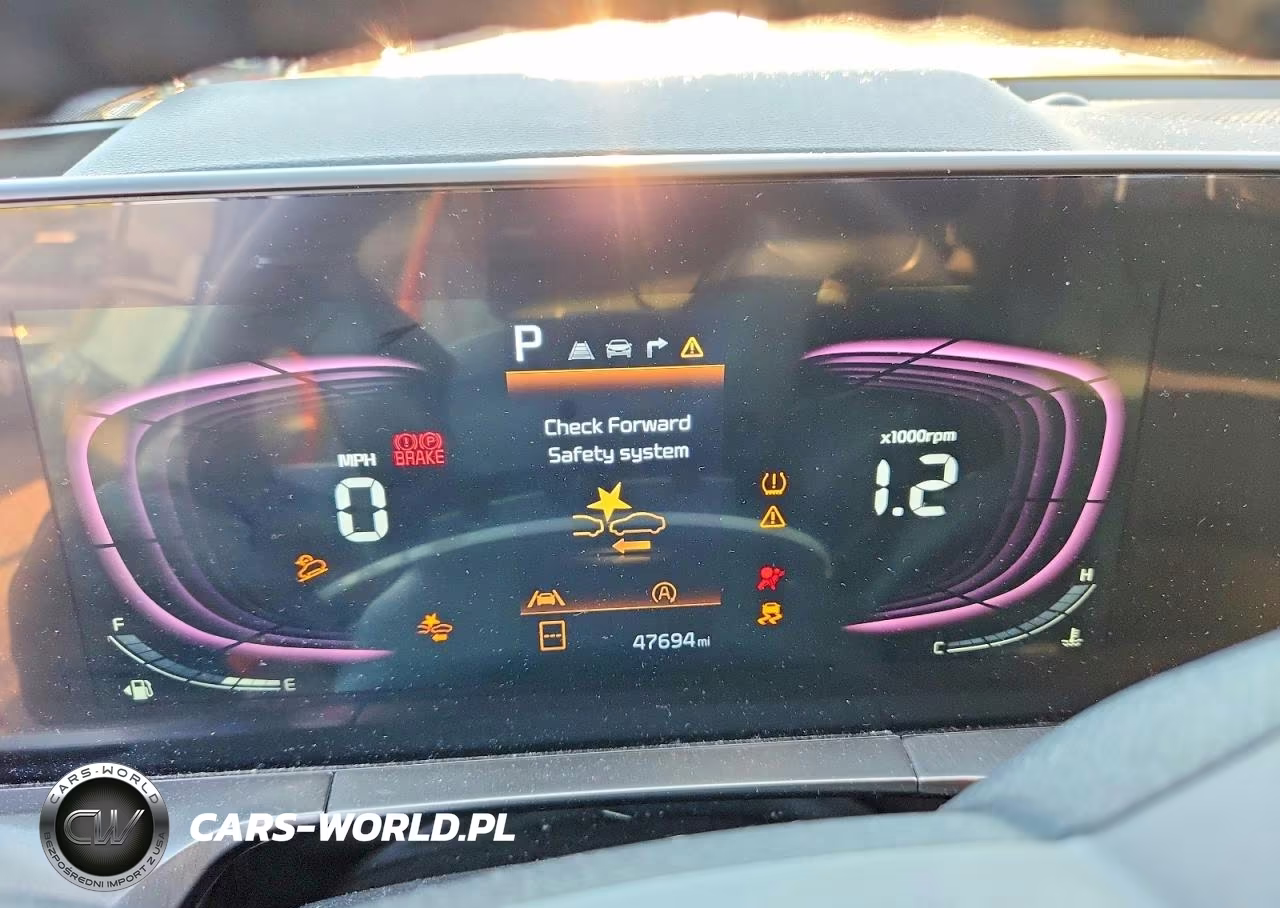 2023 Kia Telluride S VIN:5XYP6DGC1PG401971 - 9