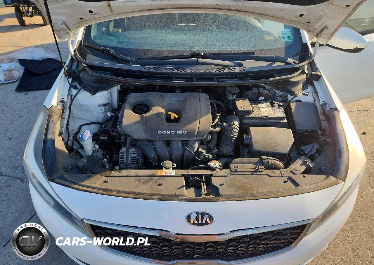 2017 Kia Forte Lx VIN:3KPFK4A70HE088011 - 11
