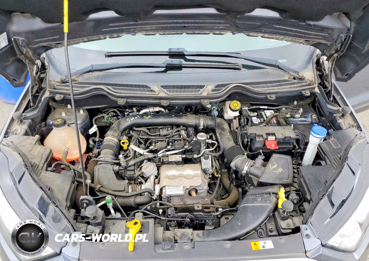 2018 Ford Ecosport Se VIN:MAJ3P1TE4JC201914 - 12