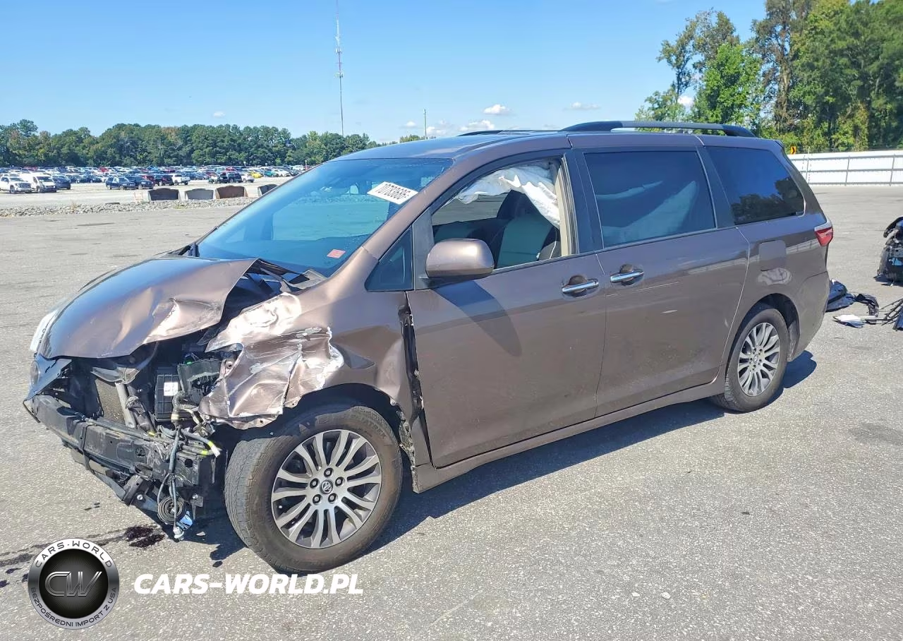 2019 Toyota Sienna Xle Premium 8-Passenger VIN:5TDYZ3DC5KS018704 - 1