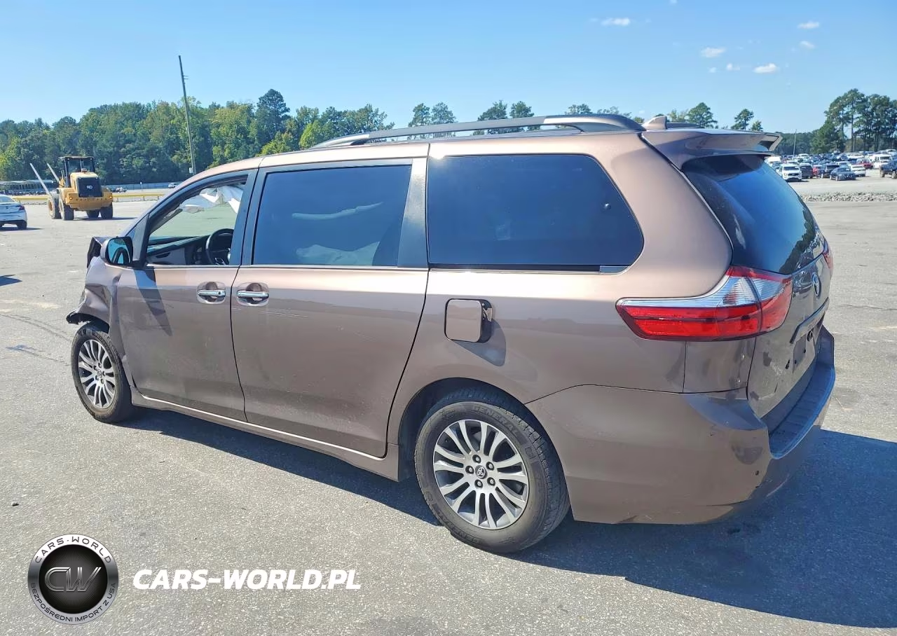 2019 Toyota Sienna Xle Premium 8-Passenger VIN:5TDYZ3DC5KS018704 - 2