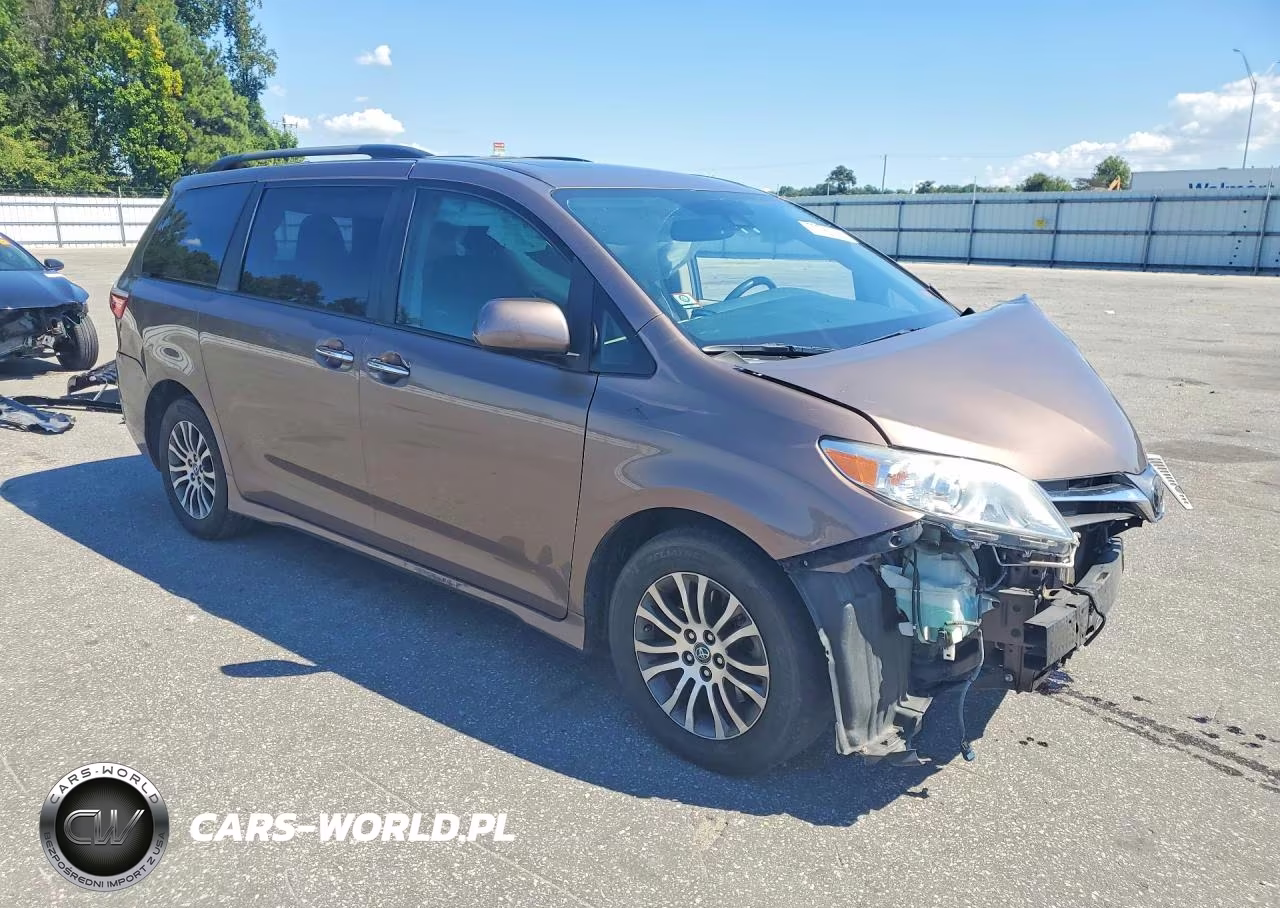 2019 Toyota Sienna Xle Premium 8-Passenger VIN:5TDYZ3DC5KS018704 - 4