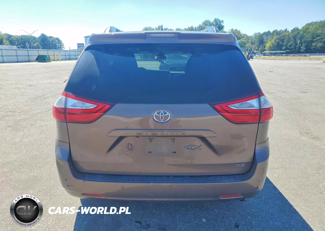 2019 Toyota Sienna Xle Premium 8-Passenger VIN:5TDYZ3DC5KS018704 - 6
