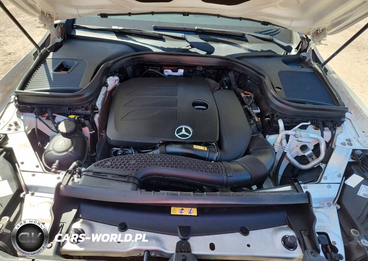 2020 Mercedes-Benz Glc 300 VIN:W1N0G8DB9LF802031 - 12