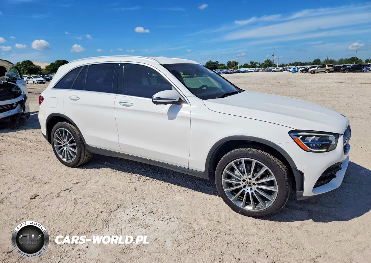 2020 Mercedes-Benz Glc 300 VIN:W1N0G8DB9LF802031 - 4