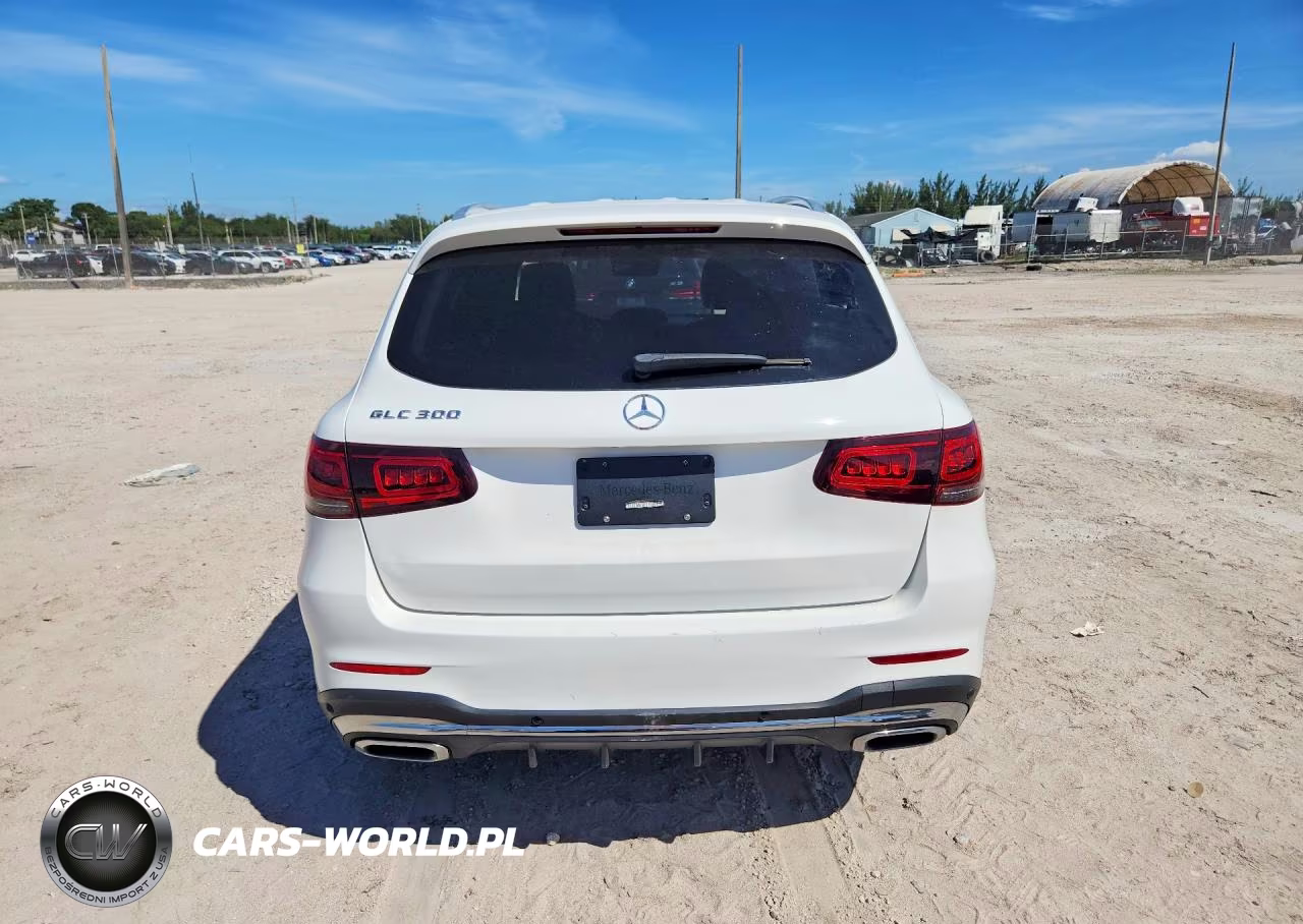 2020 Mercedes-Benz Glc 300 VIN:W1N0G8DB9LF802031 - 6