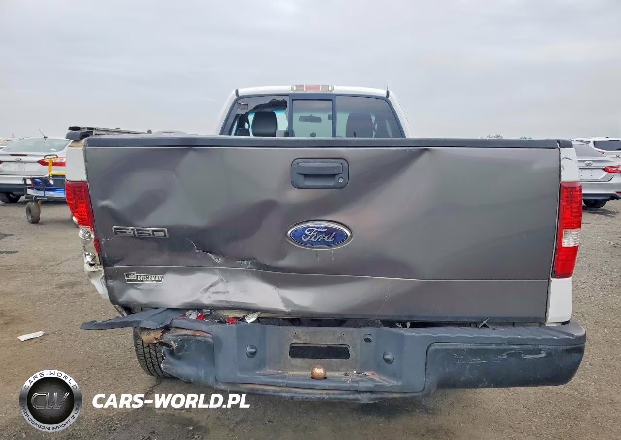 2006 Ford F150 VIN:1FTRF12286NB74789 - 6