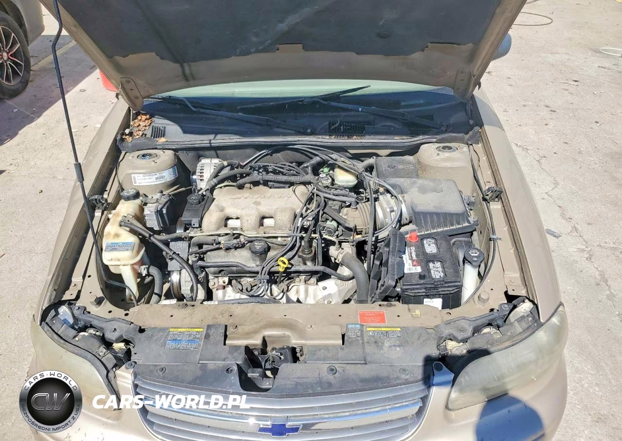 2002 Chevrolet Malibu VIN:1G1ND52JX2M695847 - 11