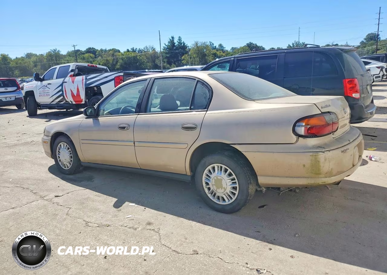 2002 Chevrolet Malibu VIN:1G1ND52JX2M695847 - 2