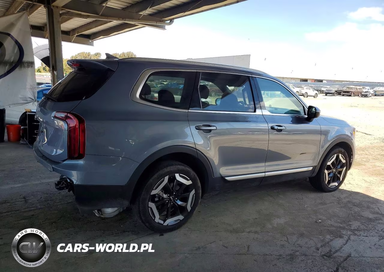 2025 Kia Telluride S VIN:5XYP64GC8SG629796 - 3