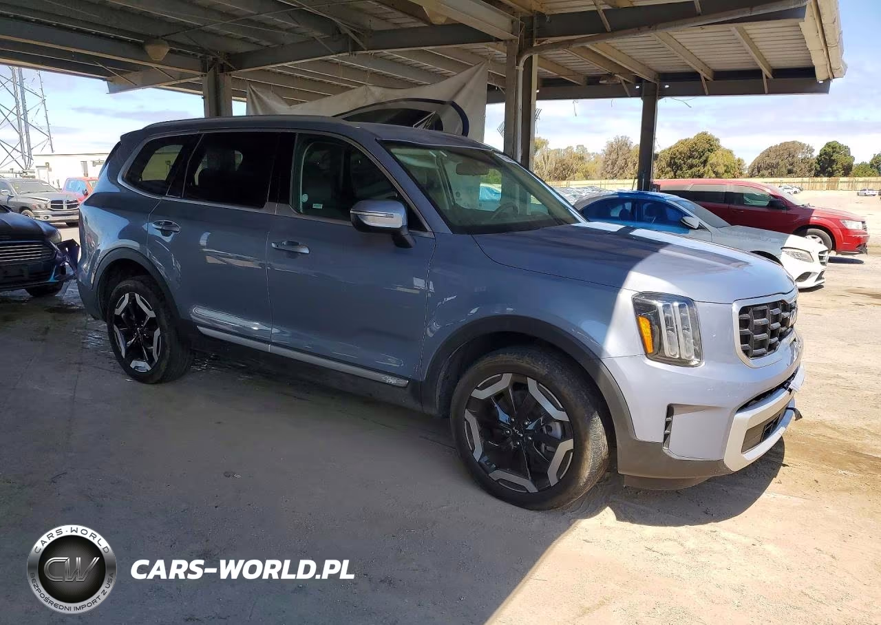 2025 Kia Telluride S VIN:5XYP64GC8SG629796 - 4