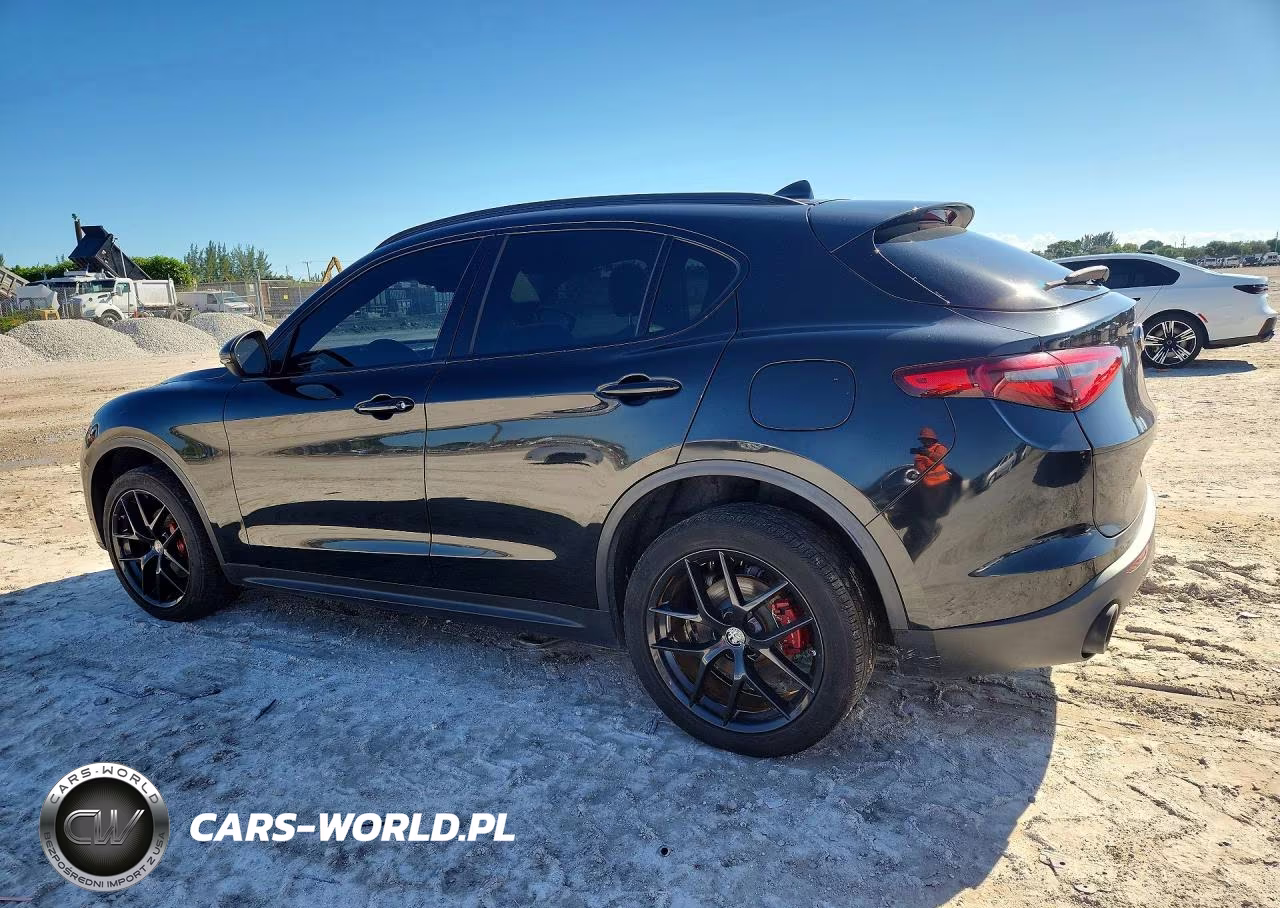 2019 Alfa Romeo Stelvio VIN:ZASPAJAN9K7C48941 - 2