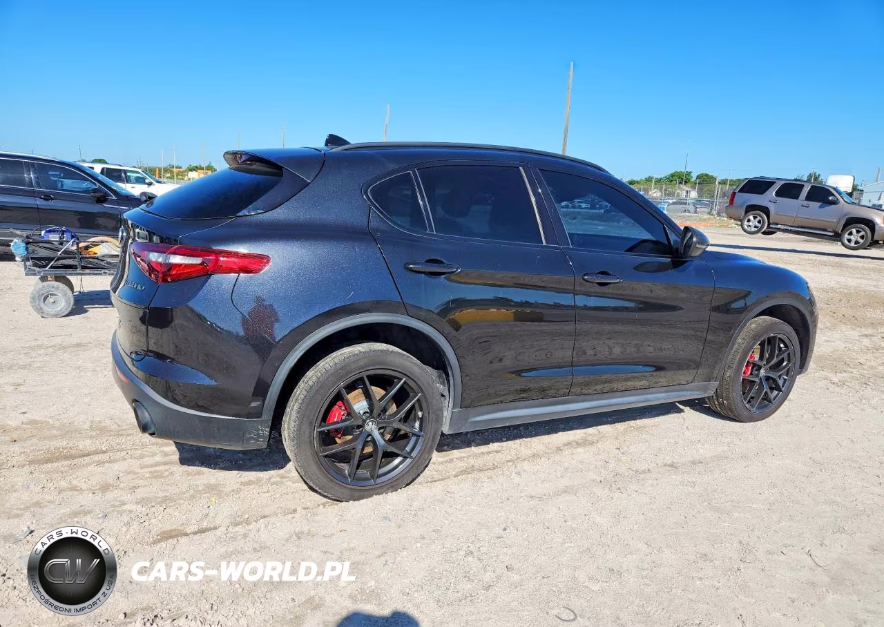 2019 Alfa Romeo Stelvio VIN:ZASPAJAN9K7C48941 - 3