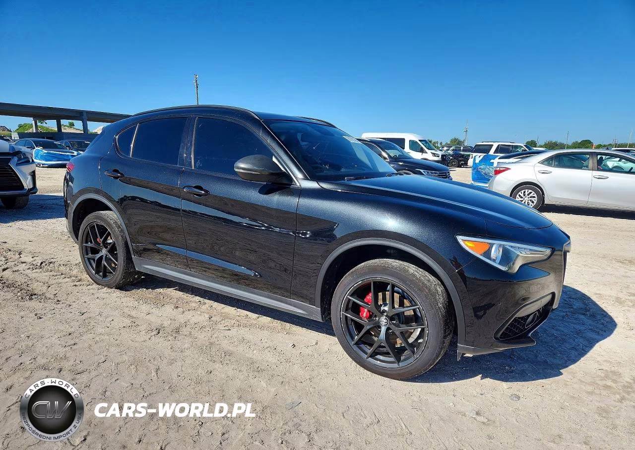 2019 Alfa Romeo Stelvio VIN:ZASPAJAN9K7C48941 - 4