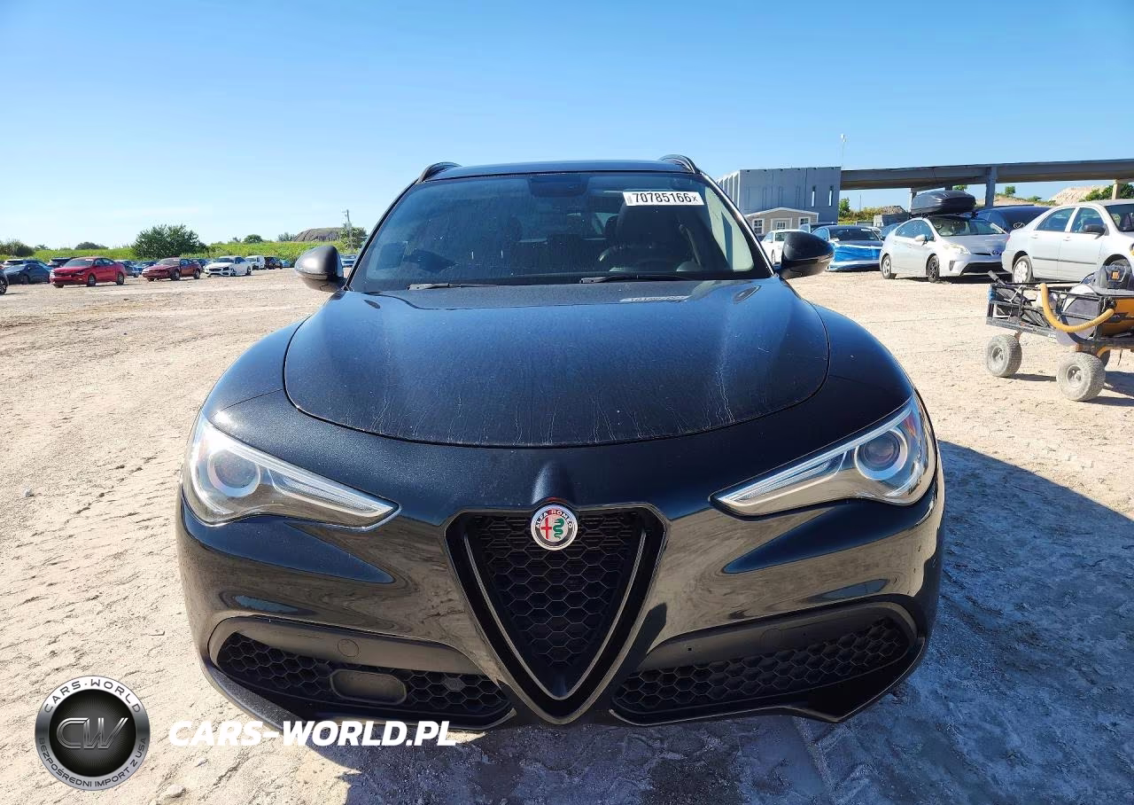 2019 Alfa Romeo Stelvio VIN:ZASPAJAN9K7C48941 - 5