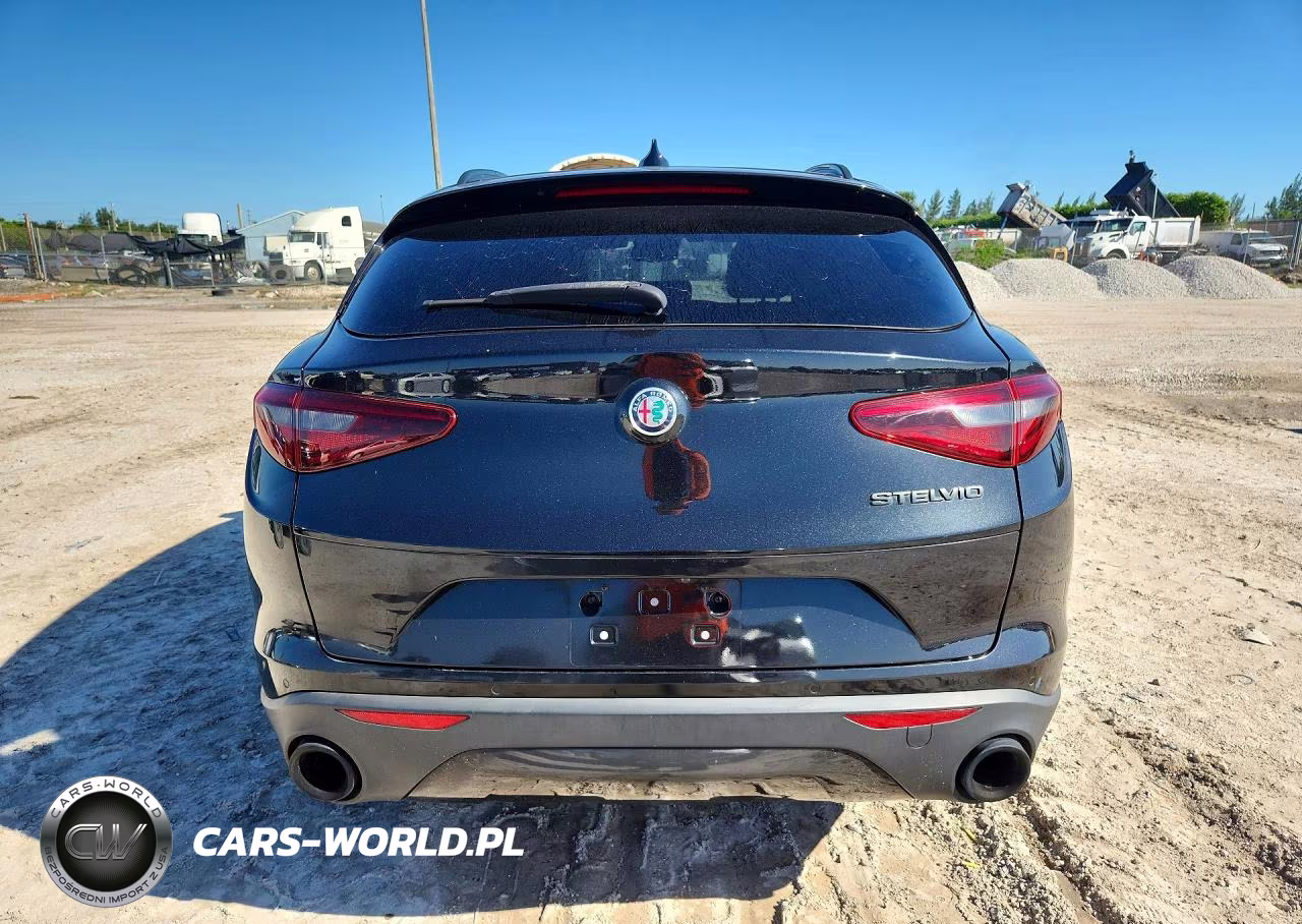 2019 Alfa Romeo Stelvio VIN:ZASPAJAN9K7C48941 - 6