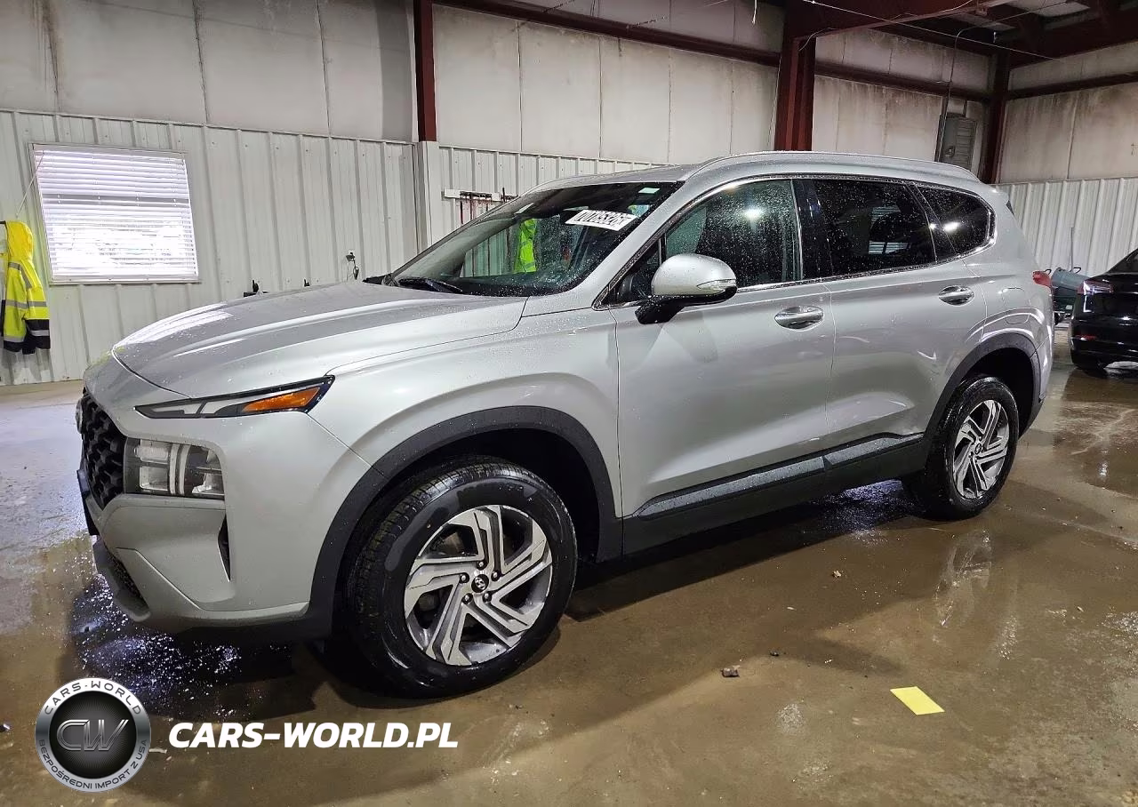 2023 Hyundai Santa Fe Sel VIN:5NMS2DAJ5PH623559 - 1
