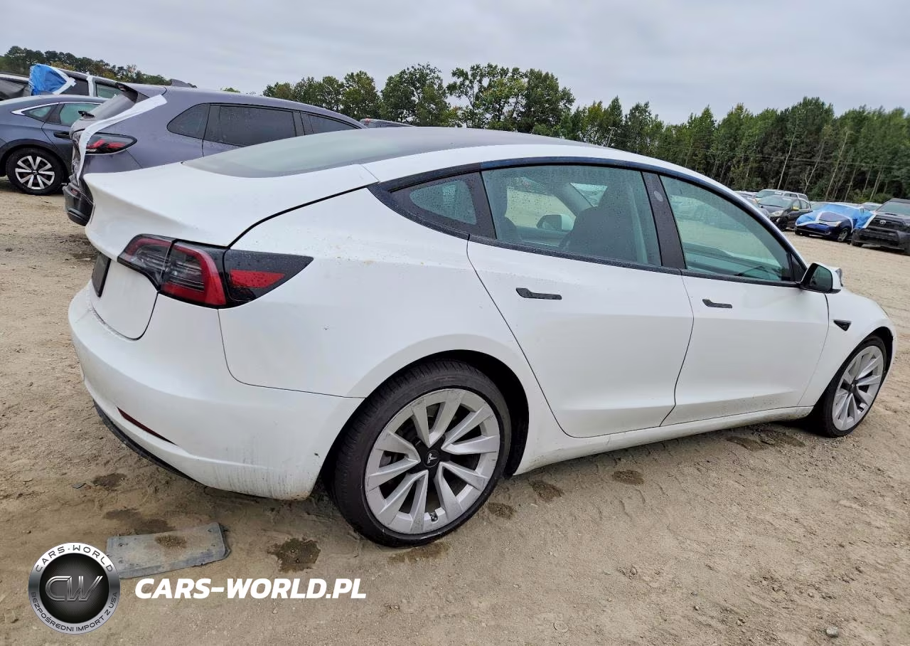 2023 Tesla Model 3 VIN:5YJ3E1EA4PF446864 - 3
