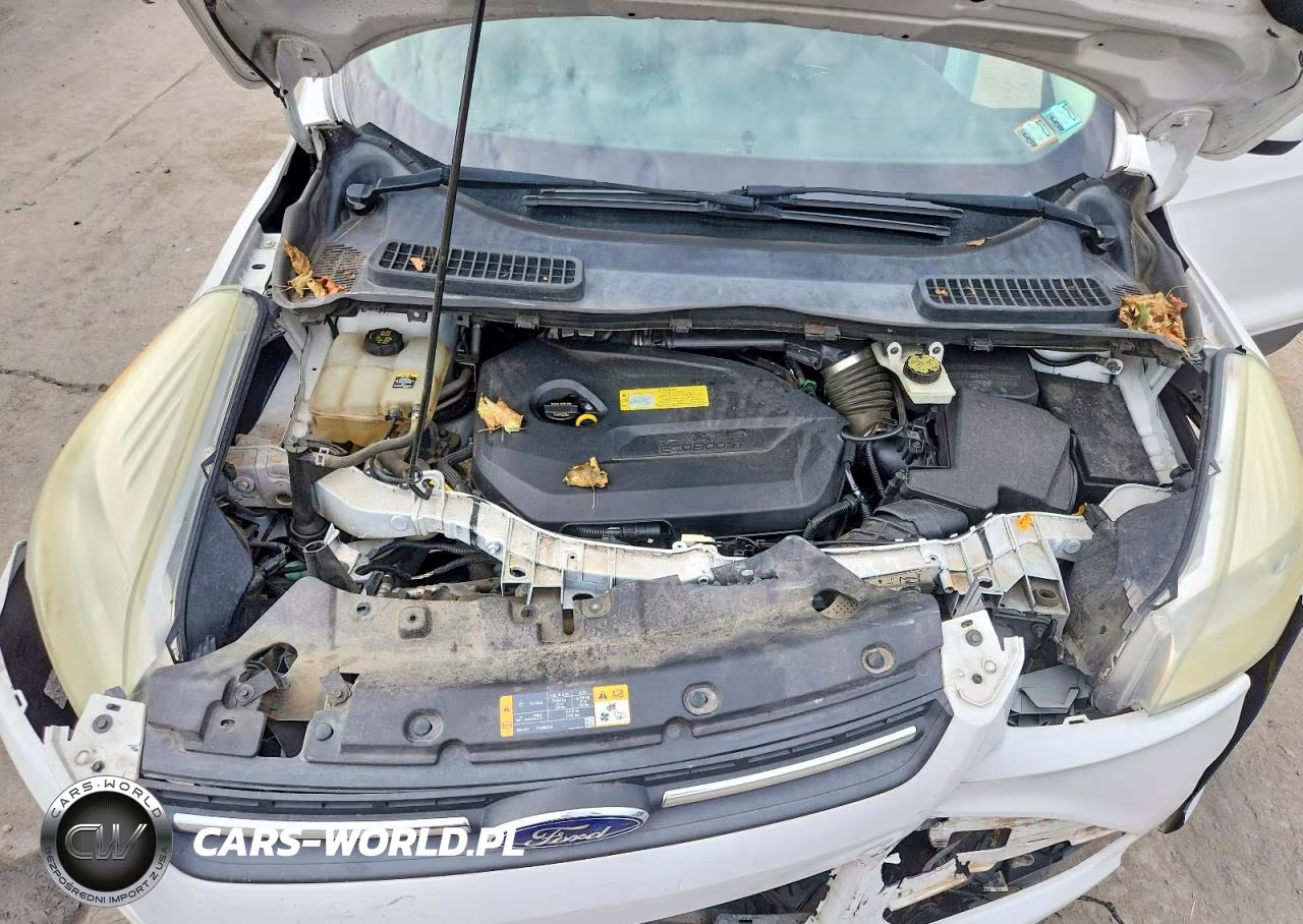 2013 Ford Escape Se VIN:1FMCU0GX7DUC62452 - 12